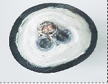 CEMS煙氣在線(xiàn)采集復(fù)合管HRFHT-D36-A1￠8b-O-O-C